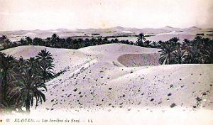 El-Oued - Jardins du Souf